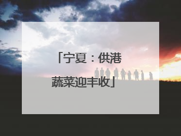 宁夏：供港蔬菜迎丰收