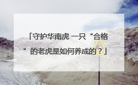 守护华南虎 一只“合格”的老虎是如何养成的？