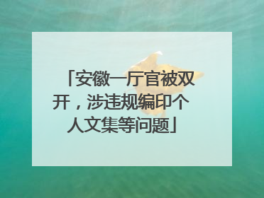 安徽一厅官被双开，涉违规编印个人文集等问题