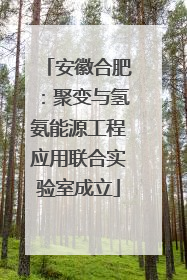 安徽合肥：聚变与氢氨能源工程应用联合实验室成立