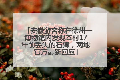 安徽游客称在徐州一博物馆内发现本村17年前丢失的石狮，两地官方最新回应