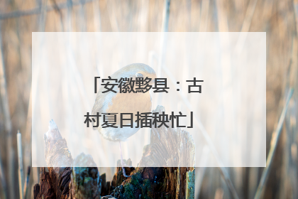 安徽黟县：古村夏日插秧忙