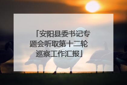 安阳县委书记专题会听取第十二轮巡察工作汇报