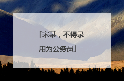宋某，不得录用为公务员