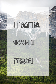 官道口镇 业兴村美面貌新