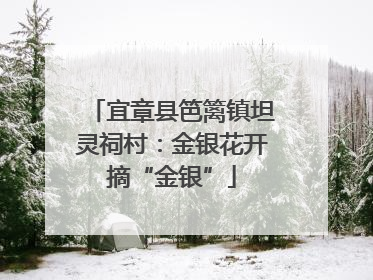 宜章县笆篱镇坦灵祠村：金银花开摘“金银”
