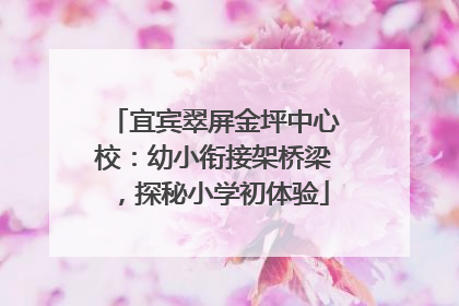 宜宾翠屏金坪中心校：幼小衔接架桥梁，探秘小学初体验