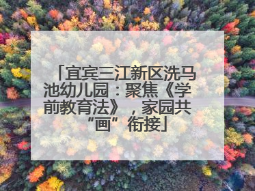 宜宾三江新区洗马池幼儿园：聚焦《学前教育法》，家园共“画”衔接