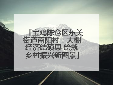 宝鸡陈仓区东关街道南阳村：大棚经济结硕果 绘就乡村振兴新图景