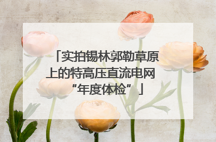 实拍锡林郭勒草原上的特高压直流电网“年度体检”