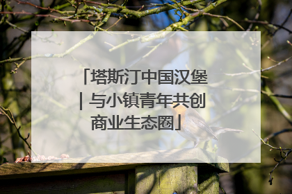 塔斯汀中国汉堡｜与小镇青年共创商业生态圈