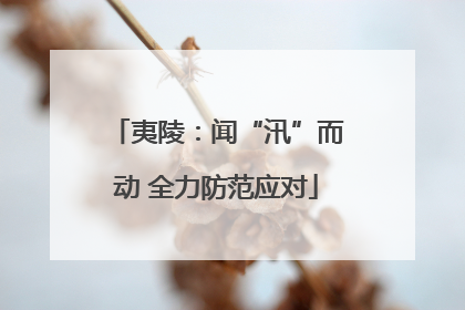 夷陵：闻“汛”而动 全力防范应对