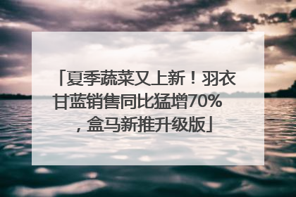 夏季蔬菜又上新！羽衣甘蓝销售同比猛增70%，盒马新推升级版
