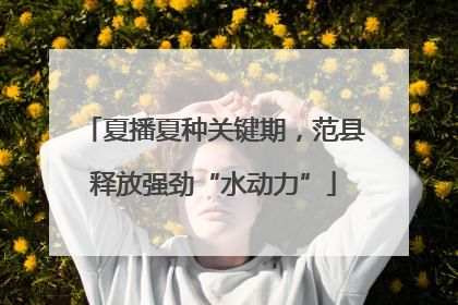 夏播夏种关键期，范县释放强劲“水动力”