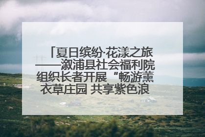 夏日缤纷·花漾之旅——溆浦县社会福利院组织长者开展“畅游薰衣草庄园 共享紫色浪漫”户外活动