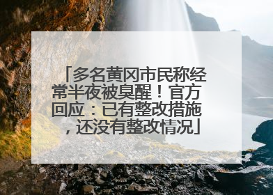 多名黄冈市民称经常半夜被臭醒！官方回应：已有整改措施，还没有整改情况