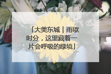 大美东城｜雨歇时分，这里藏着一片会呼吸的绿境
