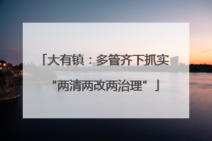 大有镇：多管齐下抓实“两清两改两治理”