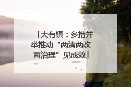 大有镇：多措并举推动“两清两改两治理”见成效