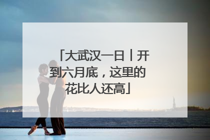 大武汉一日︱开到六月底，这里的花比人还高