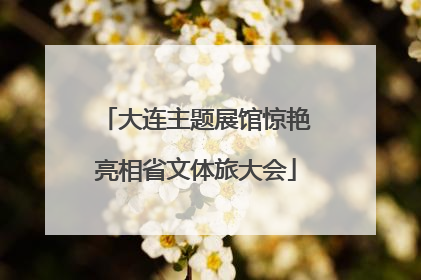 大连主题展馆惊艳亮相省文体旅大会