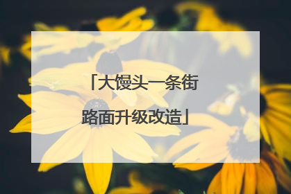 大馒头一条街路面升级改造