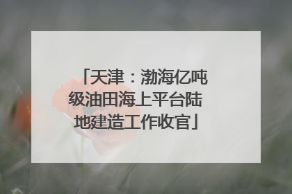 天津：渤海亿吨级油田海上平台陆地建造工作收官