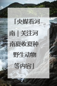 央媒看河南｜关注河南夏收夏种 野生动物等内容