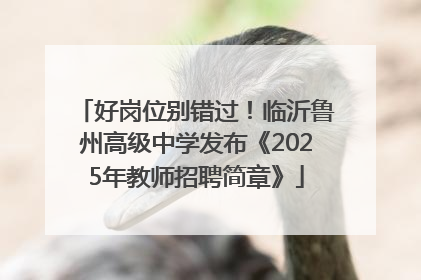 好岗位别错过！临沂鲁州高级中学发布《2025年教师招聘简章》