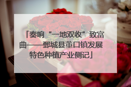 奏响“一地双收”致富曲——鄄城县董口镇发展特色种植产业侧记