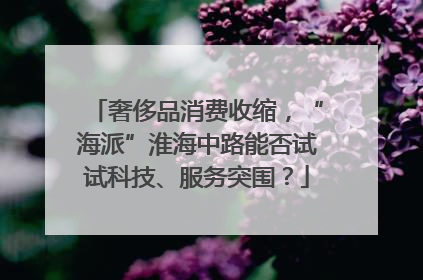 奢侈品消费收缩，“海派”淮海中路能否试试科技、服务突围？