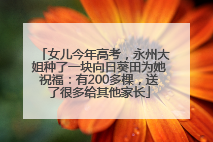 女儿今年高考，永州大姐种了一块向日葵田为她祝福：有200多棵，送了很多给其他家长