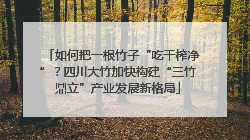如何把一根竹子“吃干榨净”？四川大竹加快构建“三竹鼎立”产业发展新格局