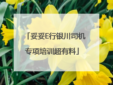 妥妥E行银川司机专项培训超有料