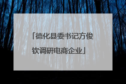 德化县委书记方俊钦调研电商企业