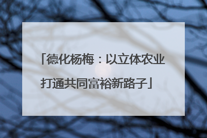 德化杨梅：以立体农业打通共同富裕新路子