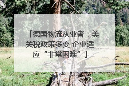 德国物流从业者：美关税政策多变 企业适应“非常困难”