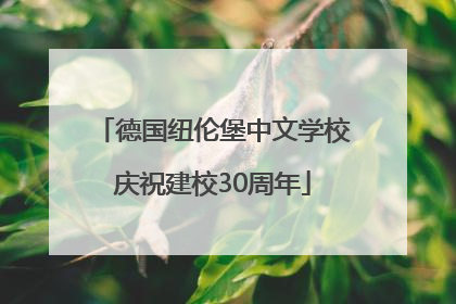 德国纽伦堡中文学校庆祝建校30周年