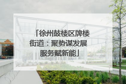 徐州鼓楼区牌楼街道：聚势谋发展 服务赋新能