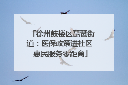 徐州鼓楼区琵琶街道：医保政策进社区 惠民服务零距离