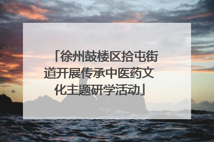 徐州鼓楼区拾屯街道开展传承中医药文化主题研学活动