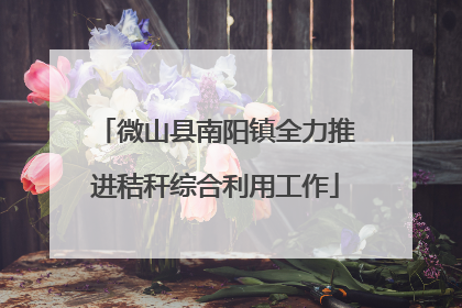 微山县南阳镇全力推进秸秆综合利用工作