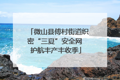 微山县傅村街道织密“三夏”安全网 护航丰产丰收季
