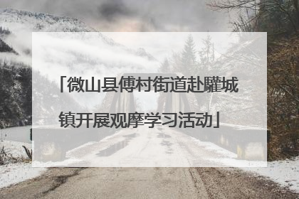 微山县傅村街道赴驩城镇开展观摩学习活动