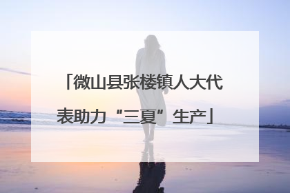 微山县张楼镇人大代表助力“三夏”生产