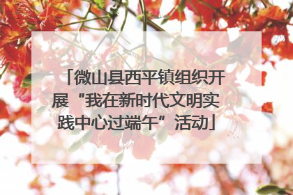 微山县西平镇组织开展“我在新时代文明实践中心过端午”活动