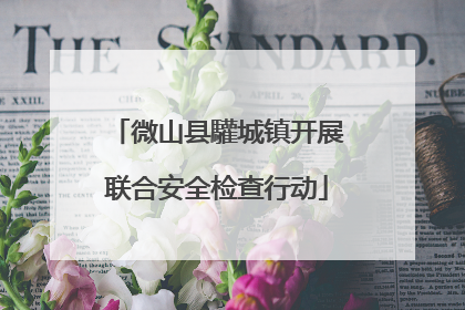 微山县驩城镇开展联合安全检查行动
