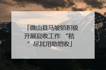 微山县马坡镇积极开展夏收工作 “秸”尽其用助增收
