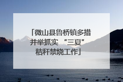 微山县鲁桥镇多措并举抓实 “三夏” 秸秆禁烧工作