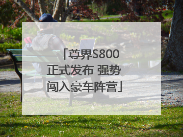 尊界S800正式发布 强势闯入豪车阵营